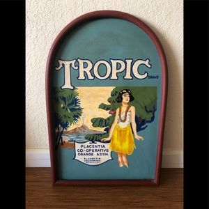 🌴Vintage Hawaiian Wall Art🌴